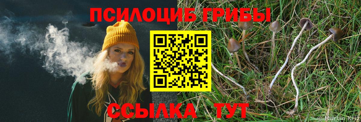Губкинский  Псилоцибиновые грибы MAGIC MUSHROOMS  Псилоцибиновые грибы мухоморы  Вход с VPN 